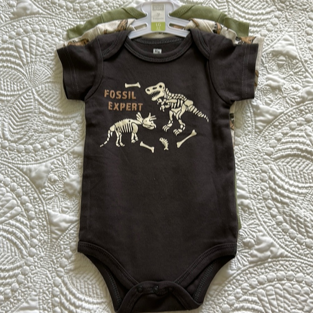 🍄3 for $30🍄 bundle for discount New Hudson baby dinosaur onesie set